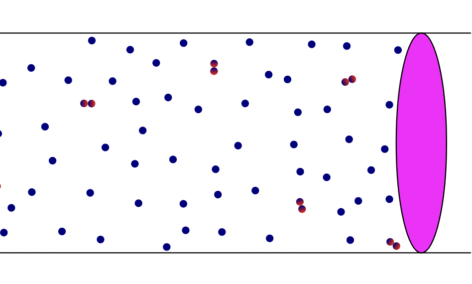The JouleThomson Effect and The Models We Know (Matt Ferraro)
